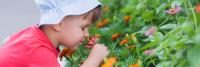 Child smelling flowers in a garden.